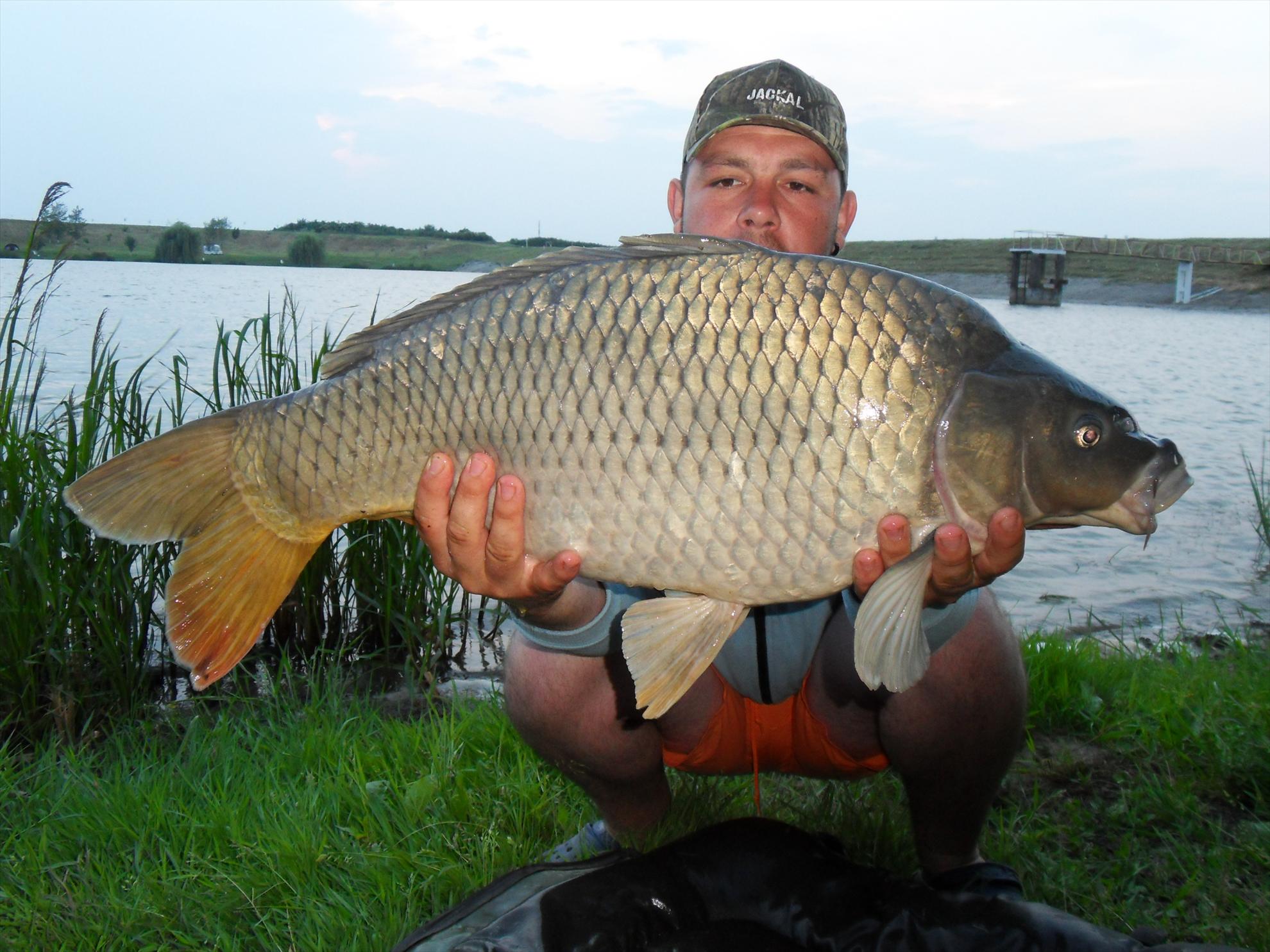 Cetariu 2011 - cetariu2011-203.JPG